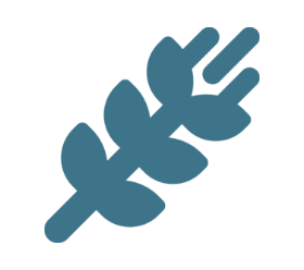 large icon